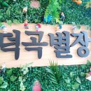 덕곡별장 이미지