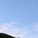 빵구름 이미지