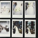 창환 축사 이미지