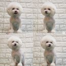 강사모백화점 이미지