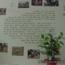 청파어린이집 이미지