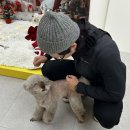 해오름 동물병원 | 단대오거리 애견미용, 애견 호텔, 유치원 추천까지 있는 “멍균관대” 너무 추천해요