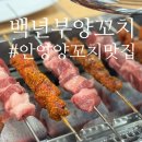 비산동 양꼬치 맛집 [백년부양꼬치] 안양 양꼬치