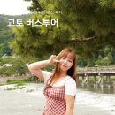 일본 교토 버스투어 비교 추천 후기 유투어 오사카 교토 여행 당일치기