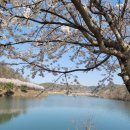 고남2리 이미지