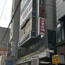 고양이마을 | 성수 길고양이마을 평일 후기:: 고양이 셀카 공개, 페럿도 있는 서울 고양이 카페