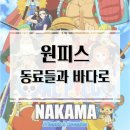 작품6(주사위) | 해적왕의 꿈을 향한 원피스 협력게임! 원피스 동료들과 바다로 보드게임 개봉기 &amp; 플레이 후기