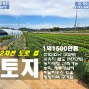 정강석 농장 Daum카페