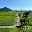 서광리-28 이미지