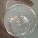 리젠바이오 | 순천피부관리 에스테틱 도윤결 마이로젯 레이저 후기 / 순천 모공, 여드름 관리 후기