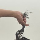 1인헤어# | [청주 가경동/미용실 추천] 가경동 두피 헤어클리닉 관리 맛집 1인 미용실 '헤어다' 방문 후기