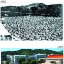 서울개화초등학교 이미지