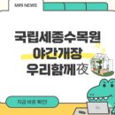 2025 순천 댕댕트레인 네이버블로그
