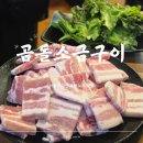 서울 까치산 목동 곰돌소금구이 | 남부시장 근처 가성비 노포 맛집 고깃집 발견!내돈내산 솔직후기