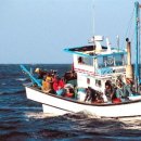 나로도바다 이미지