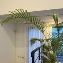 동홍동-17 이미지