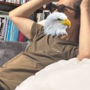 [일상] 어른인데 어린이 하고 싶은 사람? 우선 저요.
