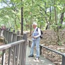 해뜨는집 이미지