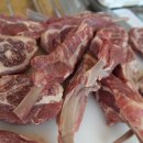 지리산리조트글램핑 네이버블로그