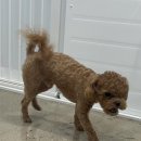 또또살롱 이미지