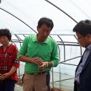 조영심 농장 이미지