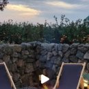 제주 덕수재 이미지