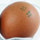 청운축산농장 이미지