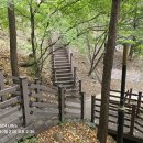 중앙동138 이미지