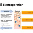 웰메디칼 이미지