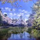 중앙제2근린공원 이미지