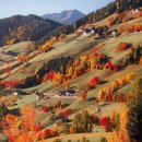 Autumn at its best at Alps Switzerland 🇨🇭 이미지