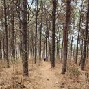 길상면-7 이미지