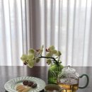 삼신차 이미지