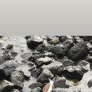 은미목장 이미지