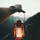 등불 Daum카페