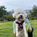 하이바이 동물위탁센터 대구점 이미지