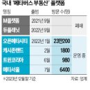 1억 넣으면 月600만원. 유명 아이돌 앞세운 사기 터졌다. (메타버스 부동산 사기) 이미지