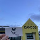단독 dandog 이미지