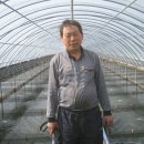 덕주농장 이미지