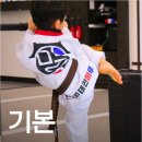 프리미엄 태권마루 태권도장 | 아이들이 매일 가고 싶어하는 2026새솔동태권도, 프리미엄태권마루의 비밀