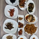 곡성-141 티스토리