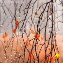 미소커피숍 이미지