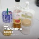 (주)바이오가드 | 저층 초파리 러브버그 전쟁 후기. 트랩 알콜 에프킬라 워킹가드까지 총동원
