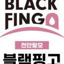 블랙핑고