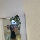 카이 게스트하우스 서프 이미지