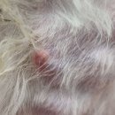 한양동물병원 이미지