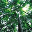 부천제일요양병원 이미지