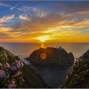 비치민박 이미지