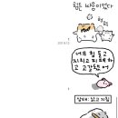 하니행정사 | [공지] 눈물의 가채점...합격률 25% 겨우 뚫은 제 14회 행정사 1차 독학 후기