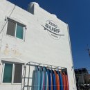 제로서프 | 월포해수욕장 포항 서핑 강습 서핑입문 후기
